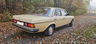 Mercedes-Benz 250 w123 1980