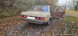 Mercedes-Benz 250 w123 1980