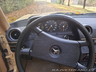 Mercedes-Benz 250 w123 1980