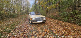 Mercedes-Benz 250 w123 1980