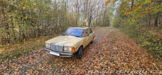 Mercedes-Benz 250 w123 1980