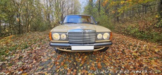 Mercedes-Benz 250 w123 1980