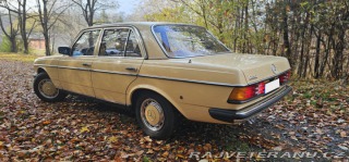 Mercedes-Benz 250 w123 1980