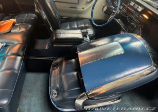 Ford Thunderbird  1966