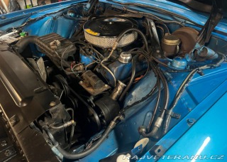 Ford Thunderbird  1966