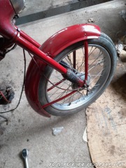 Jawa 50 550 pařez 1956