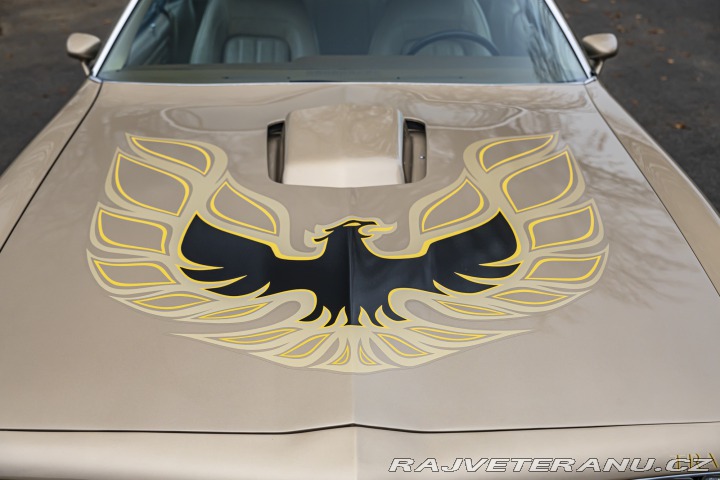 Pontiac Firebird Trans-Am 1977