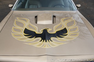 Pontiac Firebird Trans-Am 1977