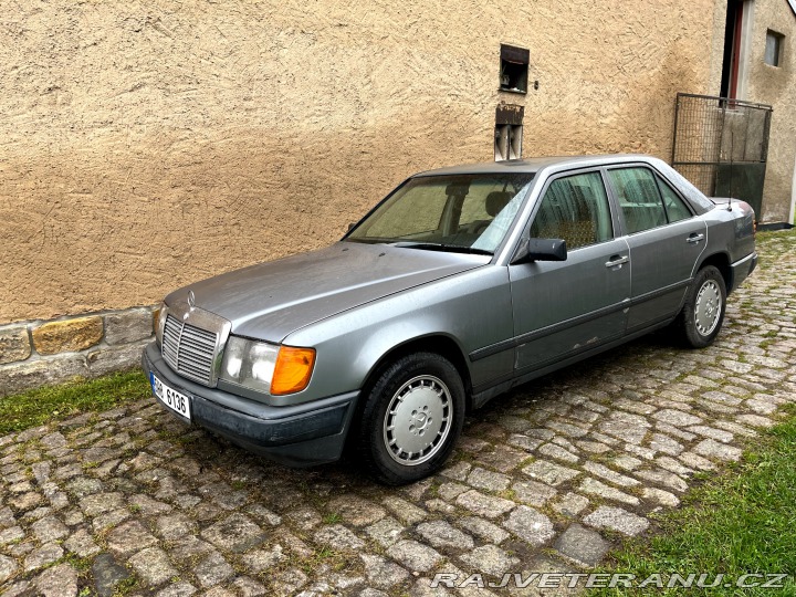 Mercedes-Benz 250 W 124 1988