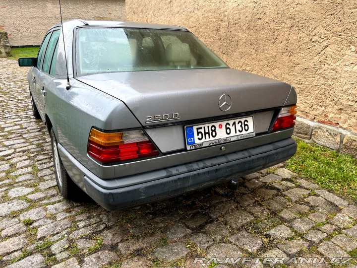 Mercedes-Benz 250 W 124 1988