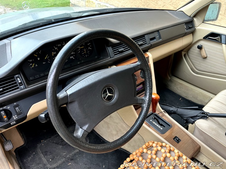 Mercedes-Benz 250 W 124 1988