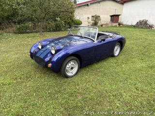 Austin Healey Mk1 žabák 1959
