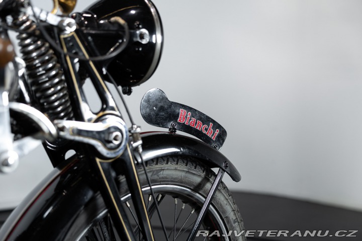 Ostatní značky Ostatní modely Bianchi 250 TURISMO 1948