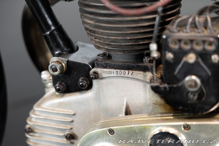 Ostatní značky Ostatní modely Bianchi 250 TURISMO 1948