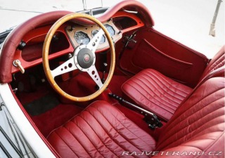 MG TF 1954