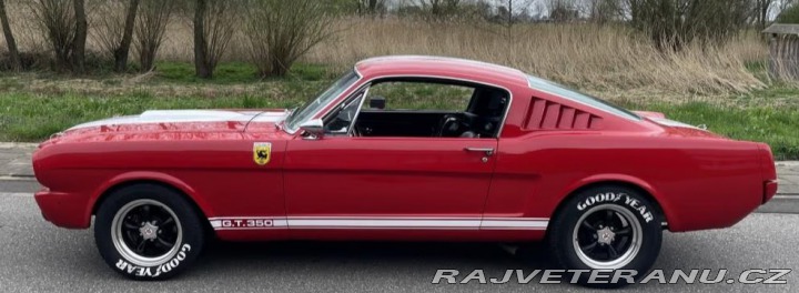 Ford Mustang GT350 1965