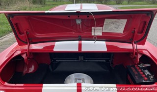Ford Mustang GT350 1965