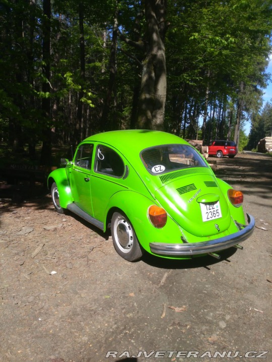 Volkswagen Brouk  1964