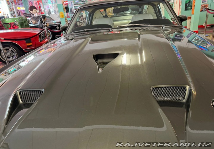 Ford Mustang Shelby GT 500 1969