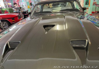 Ford Mustang Shelby GT 500 1969