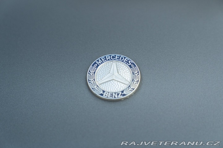 Mercedes-Benz 280 GE 1981
