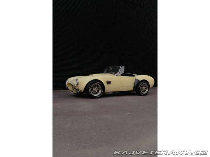 Cobra Ostatní modely 1965 Shelby AC COBRA 1965