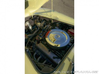 Cobra Ostatní modely 1965 Shelby AC COBRA 1965