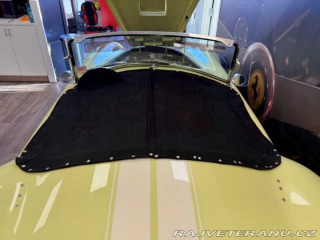 Cobra Ostatní modely 1965 Shelby AC COBRA 1965