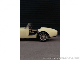 Cobra Ostatní modely 1965 Shelby AC COBRA 1965