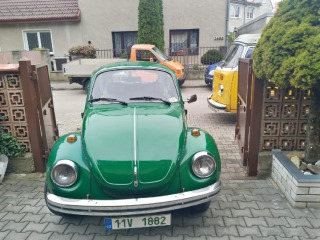 Volkswagen Brouk 1303