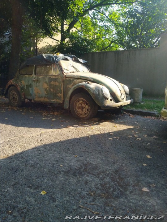 Volkswagen Brouk 11 1967