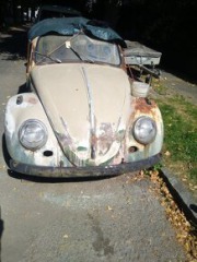 Volkswagen Brouk 11 1967