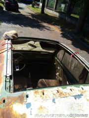 Volkswagen Brouk 11 1967