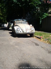 Volkswagen Brouk 11 1967