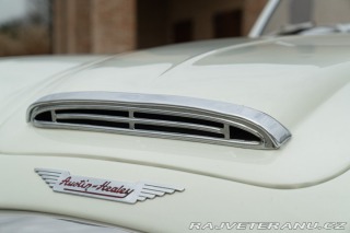 Austin 10 BN4 100/6 1957