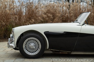 Austin 10 BN4 100/6 1957