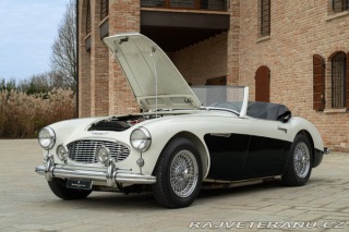 Austin 10 BN4 100/6 1957
