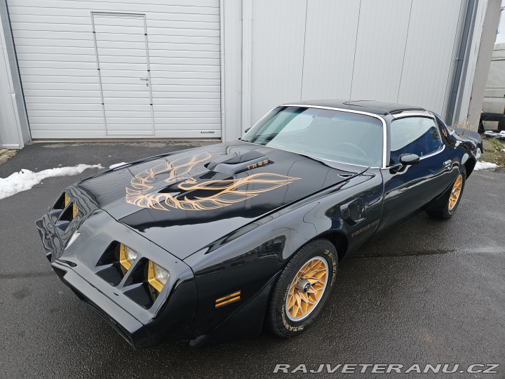 Pontiac Trans Am FIREBIRD TRANS AM 1979
