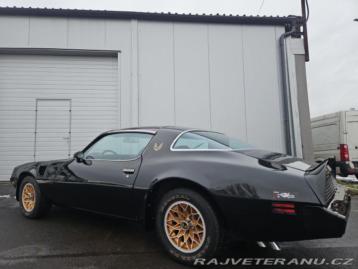 Pontiac Trans Am FIREBIRD TRANS AM 1979