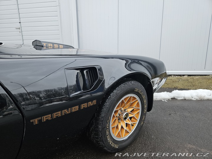 Pontiac Trans Am FIREBIRD TRANS AM 1979