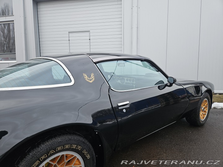Pontiac Trans Am FIREBIRD TRANS AM 1979