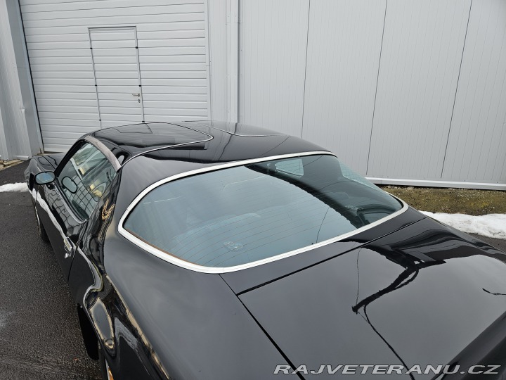 Pontiac Trans Am FIREBIRD TRANS AM 1979