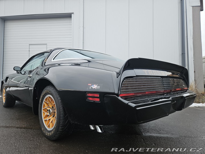 Pontiac Trans Am FIREBIRD TRANS AM 1979