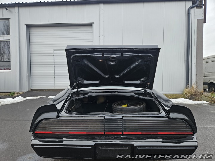 Pontiac Trans Am FIREBIRD TRANS AM 1979