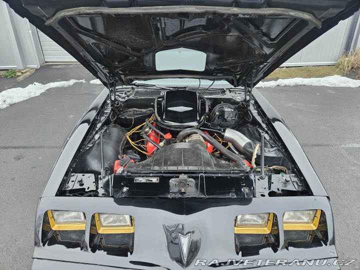 Pontiac Trans Am FIREBIRD TRANS AM 1979