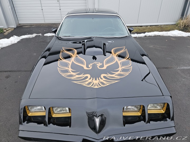 Pontiac Trans Am FIREBIRD TRANS AM 1979