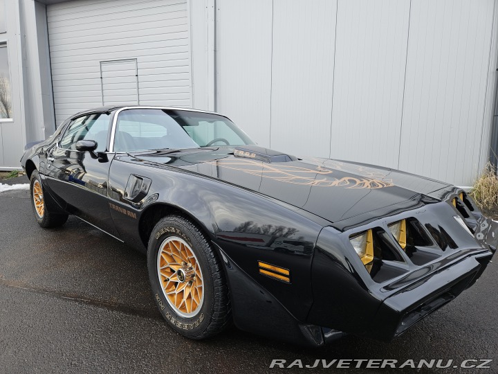 Pontiac Trans Am FIREBIRD TRANS AM 1979
