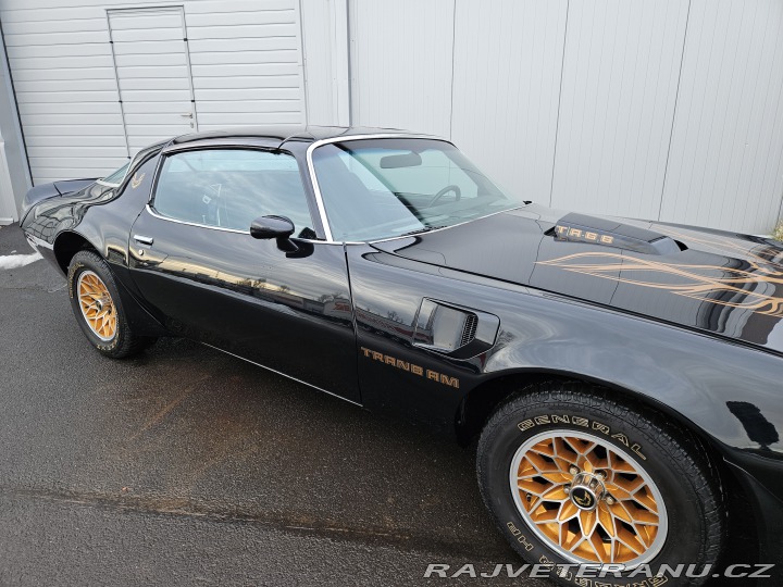 Pontiac Trans Am FIREBIRD TRANS AM 1979