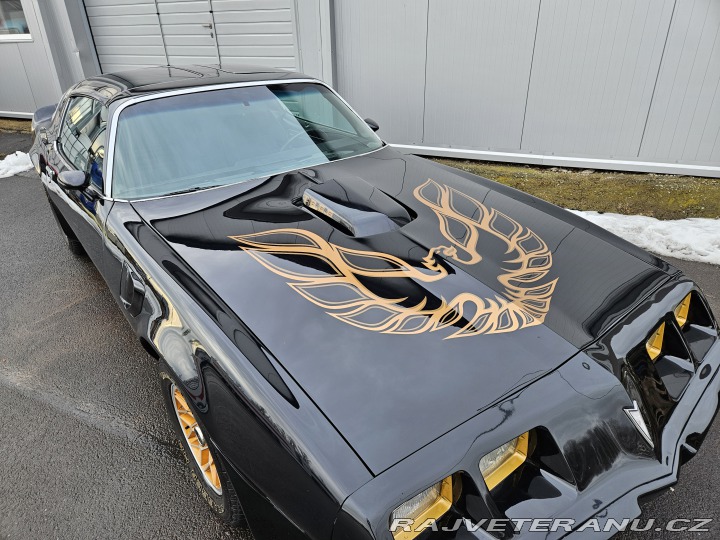 Pontiac Trans Am FIREBIRD TRANS AM 1979