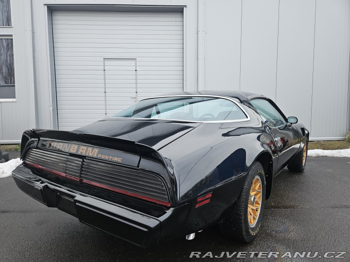 Pontiac Trans Am FIREBIRD TRANS AM 1979